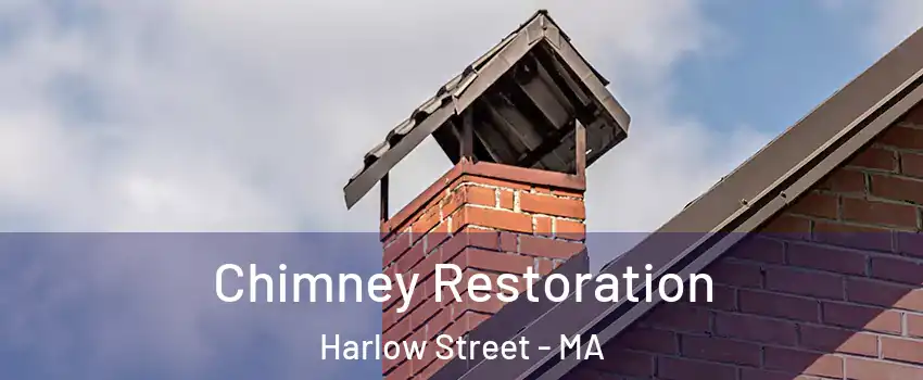 Chimney Restoration Harlow Street - MA