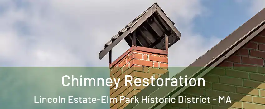 Chimney Restoration Lincoln Estate-Elm Park Historic District - MA