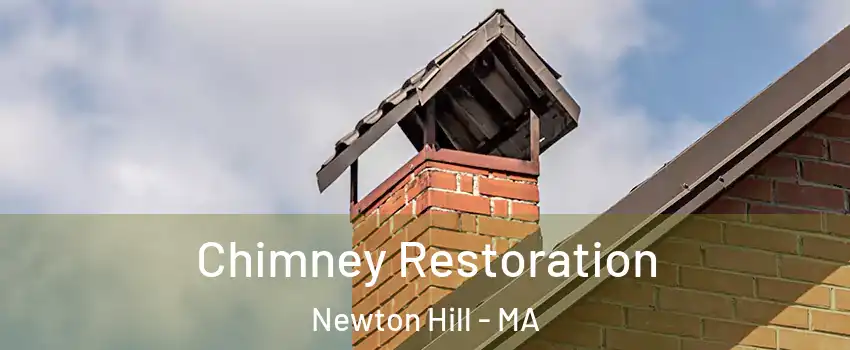 Chimney Restoration Newton Hill - MA