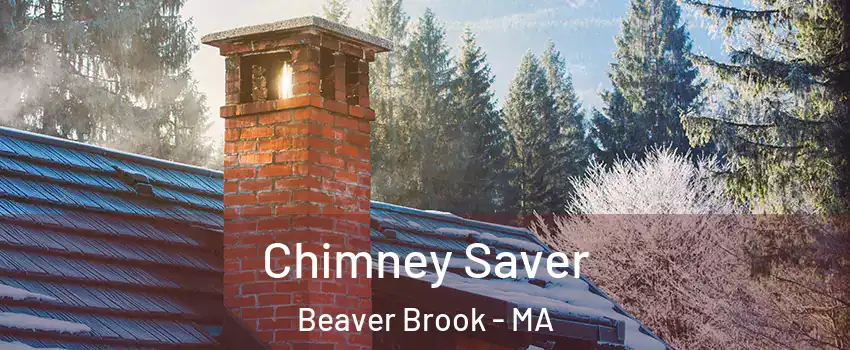 Chimney Saver Beaver Brook - MA