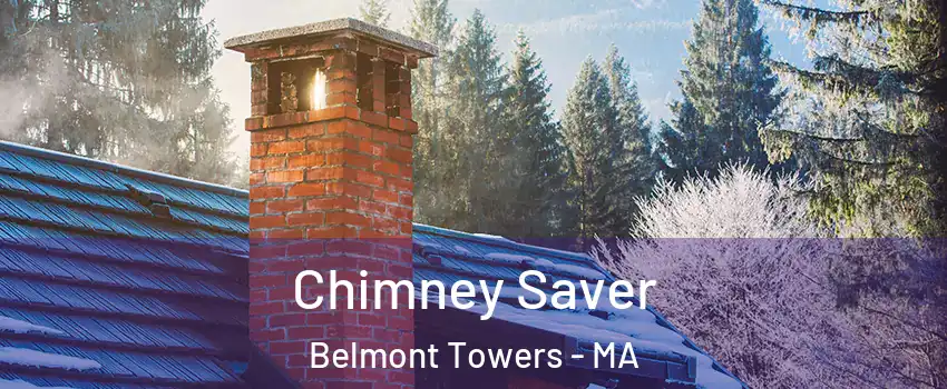 Chimney Saver Belmont Towers - MA