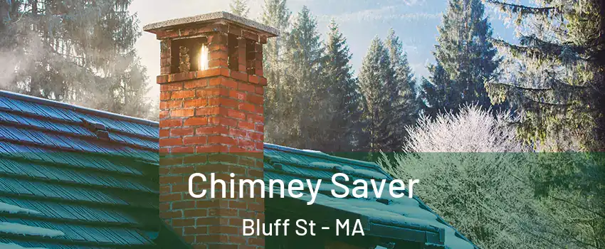 Chimney Saver Bluff St - MA