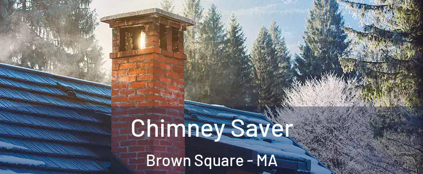 Chimney Saver Brown Square - MA