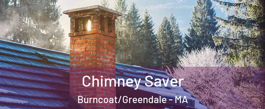 Chimney Saver Burncoat/Greendale - MA