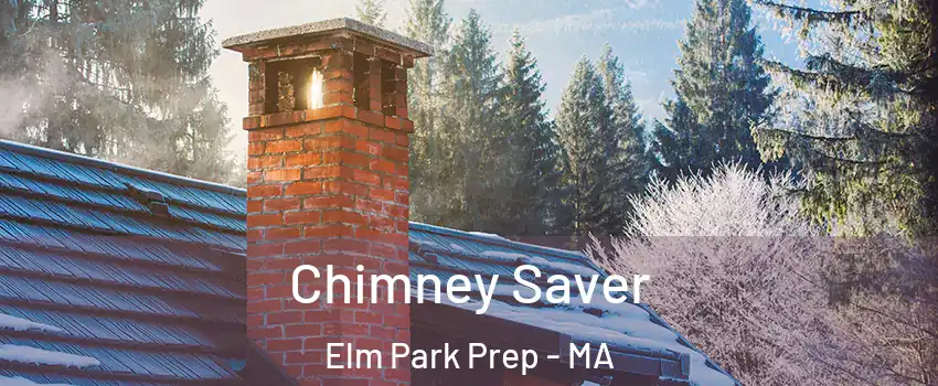 Chimney Saver Elm Park Prep - MA