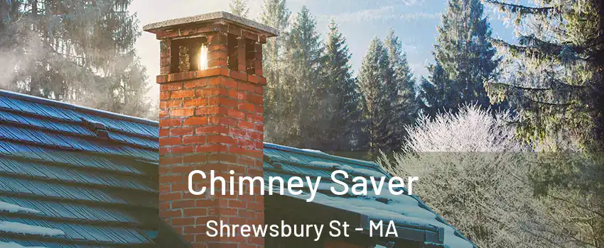 Chimney Saver Shrewsbury St - MA