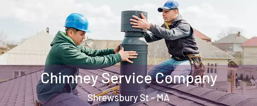 Chimney Service Company Shrewsbury St - MA