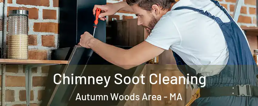 Chimney Soot Cleaning Autumn Woods Area - MA