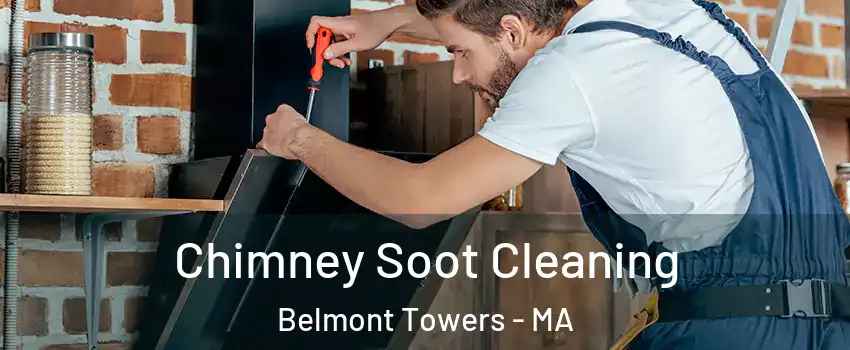 Chimney Soot Cleaning Belmont Towers - MA