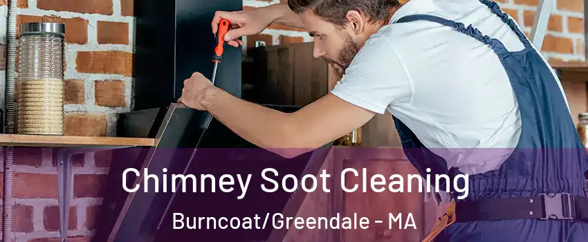 Chimney Soot Cleaning Burncoat/Greendale - MA