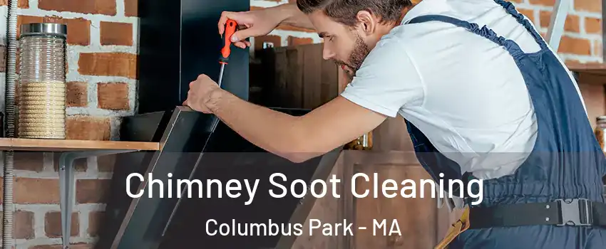 Chimney Soot Cleaning Columbus Park - MA