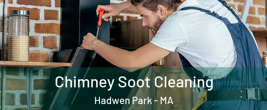 Chimney Soot Cleaning Hadwen Park - MA