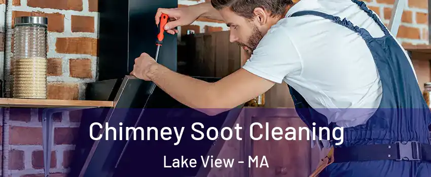 Chimney Soot Cleaning Lake View - MA