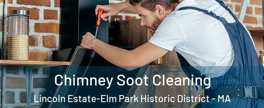 Chimney Soot Cleaning Lincoln Estate-Elm Park Historic District - MA