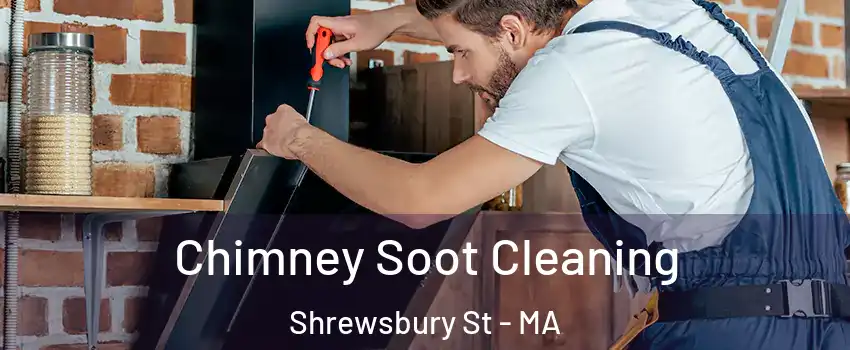 Chimney Soot Cleaning Shrewsbury St - MA