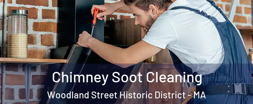 Chimney Soot Cleaning Woodland Street Historic District - MA