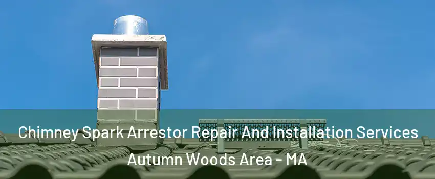 Chimney Spark Arrestor Repair And Installation Services Autumn Woods Area - MA