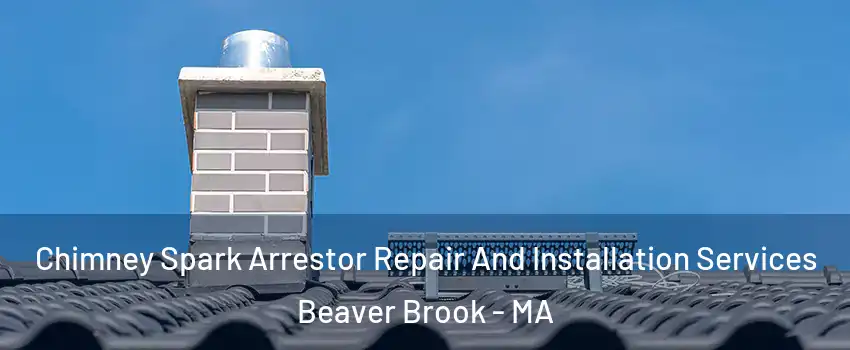 Chimney Spark Arrestor Repair And Installation Services Beaver Brook - MA