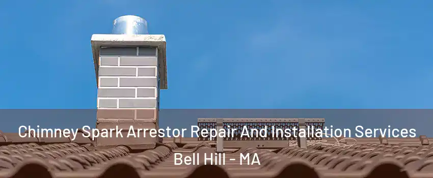 Chimney Spark Arrestor Repair And Installation Services Bell Hill - MA