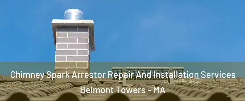 Chimney Spark Arrestor Repair And Installation Services Belmont Towers - MA