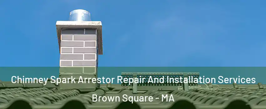 Chimney Spark Arrestor Repair And Installation Services Brown Square - MA