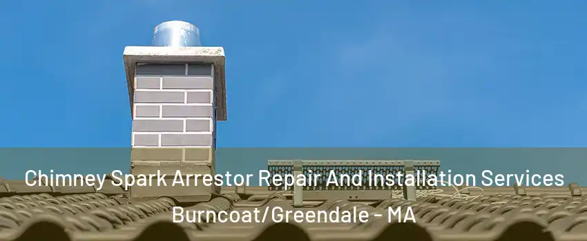 Chimney Spark Arrestor Repair And Installation Services Burncoat/Greendale - MA