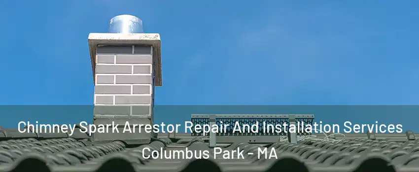 Chimney Spark Arrestor Repair And Installation Services Columbus Park - MA