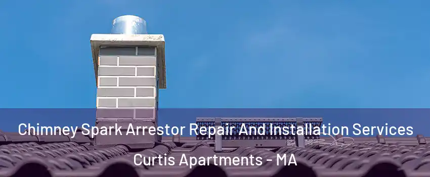 Chimney Spark Arrestor Repair And Installation Services Curtis Apartments - MA