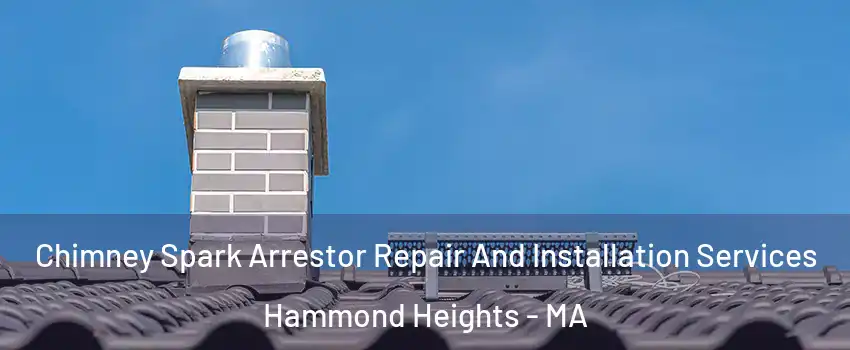 Chimney Spark Arrestor Repair And Installation Services Hammond Heights - MA