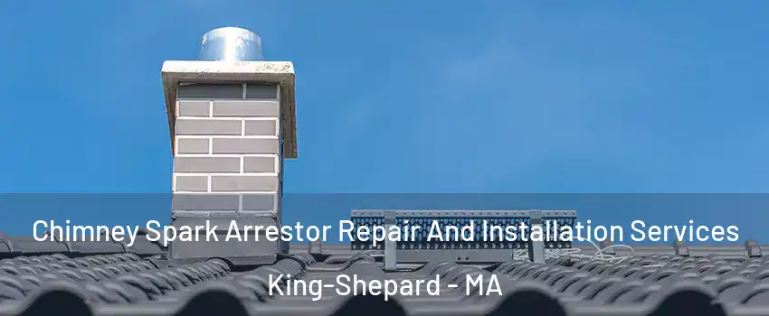 Chimney Spark Arrestor Repair And Installation Services King-Shepard - MA