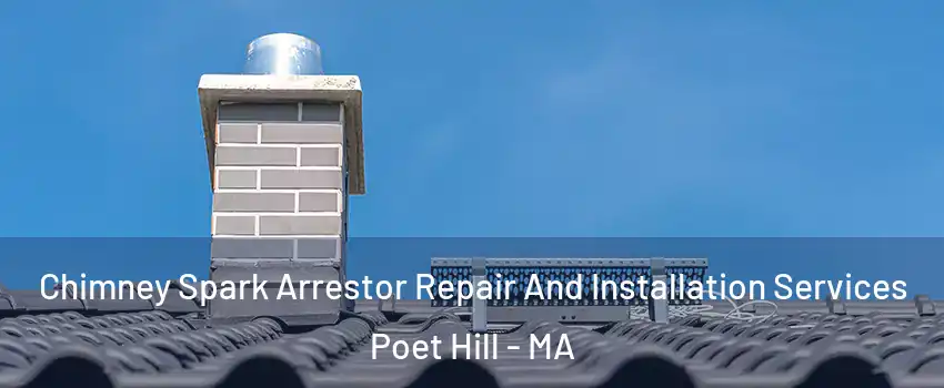 Chimney Spark Arrestor Repair And Installation Services Poet Hill - MA