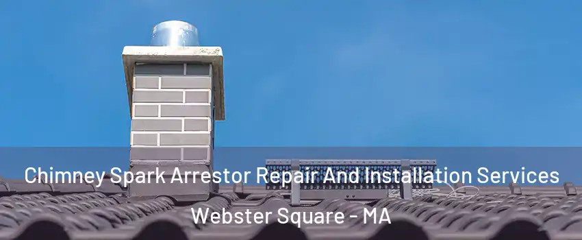 Chimney Spark Arrestor Repair And Installation Services Webster Square - MA