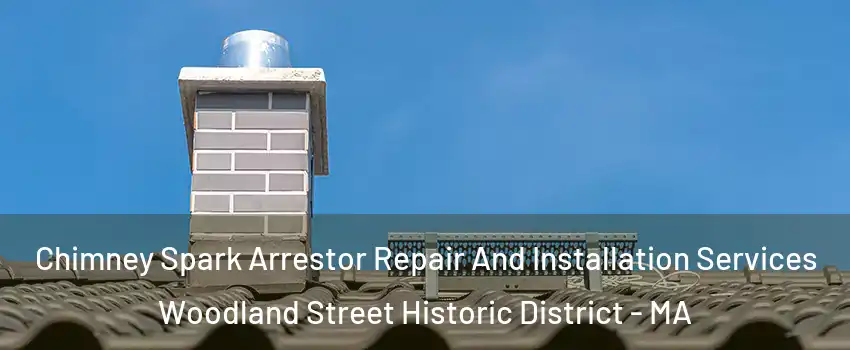 Chimney Spark Arrestor Repair And Installation Services Woodland Street Historic District - MA