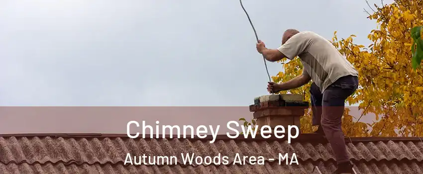 Chimney Sweep Autumn Woods Area - MA