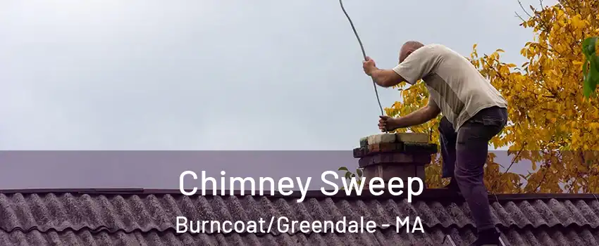 Chimney Sweep Burncoat/Greendale - MA