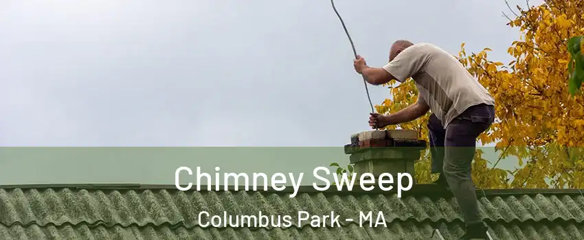 Chimney Sweep Columbus Park - MA