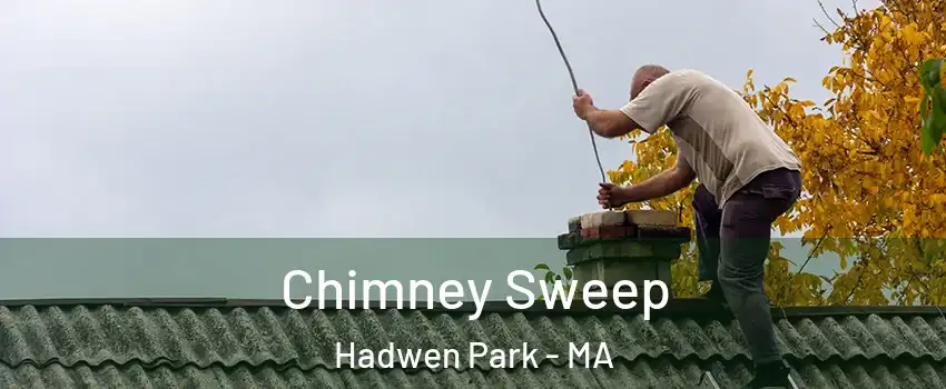 Chimney Sweep Hadwen Park - MA