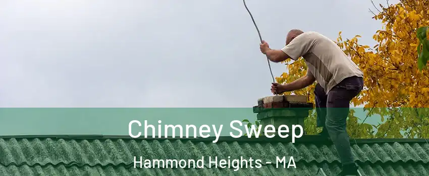 Chimney Sweep Hammond Heights - MA