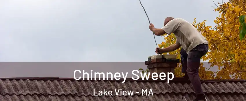 Chimney Sweep Lake View - MA