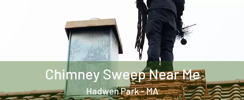 Chimney Sweep Near Me Hadwen Park - MA