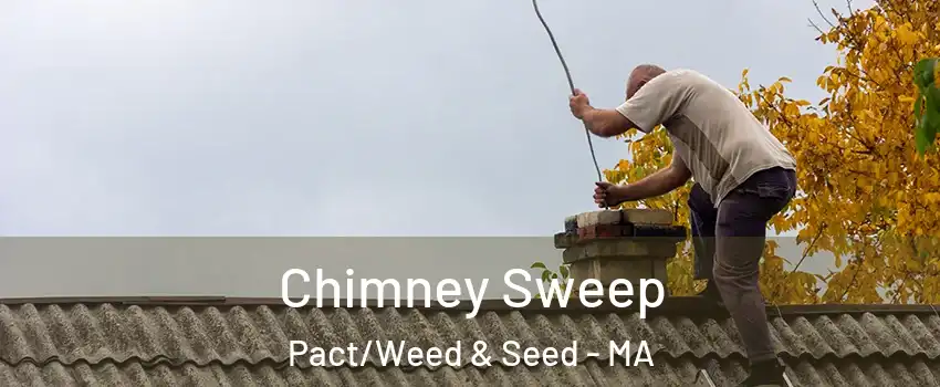 Chimney Sweep Pact/Weed & Seed - MA