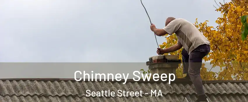 Chimney Sweep Seattle Street - MA