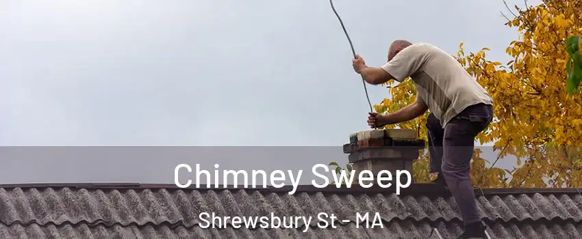 Chimney Sweep Shrewsbury St - MA