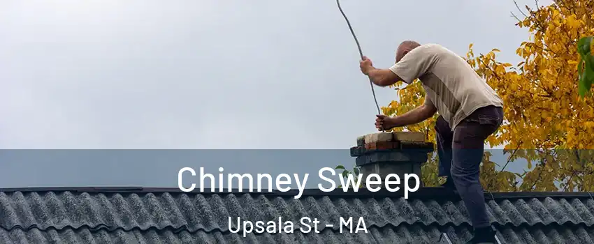 Chimney Sweep Upsala St - MA