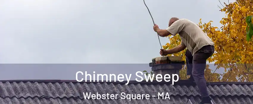 Chimney Sweep Webster Square - MA