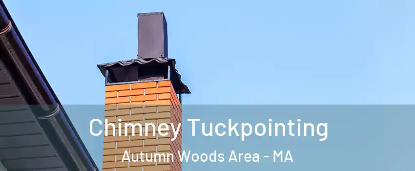 Chimney Tuckpointing Autumn Woods Area - MA