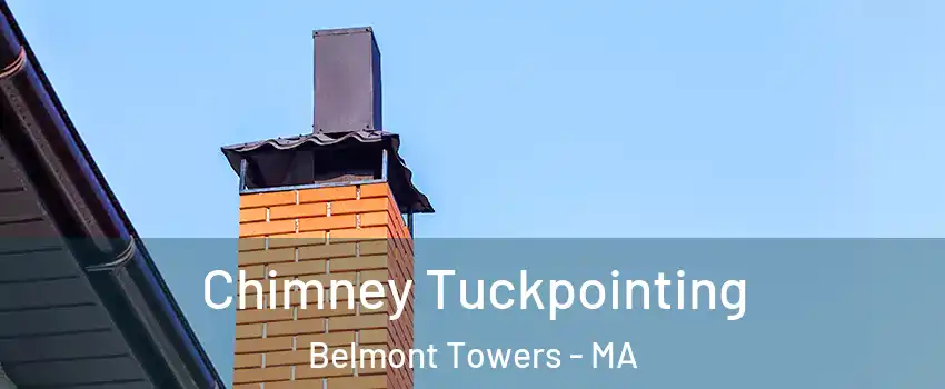 Chimney Tuckpointing Belmont Towers - MA