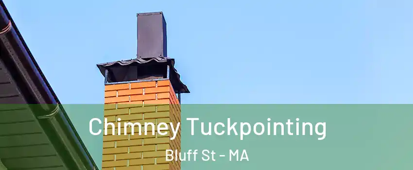 Chimney Tuckpointing Bluff St - MA