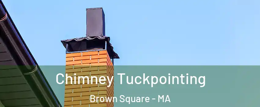 Chimney Tuckpointing Brown Square - MA