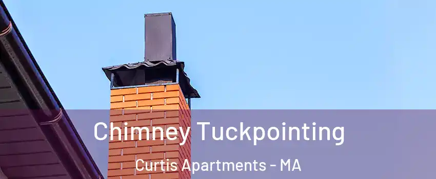 Chimney Tuckpointing Curtis Apartments - MA